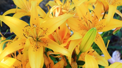 عنوان خبر 05