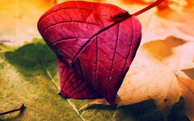 عنوان خبر 09